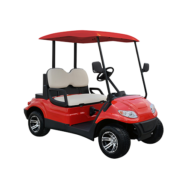 2 Seater Golf Cart
