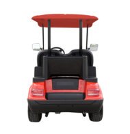 2 Seater Golf Cart - Gallery 3
